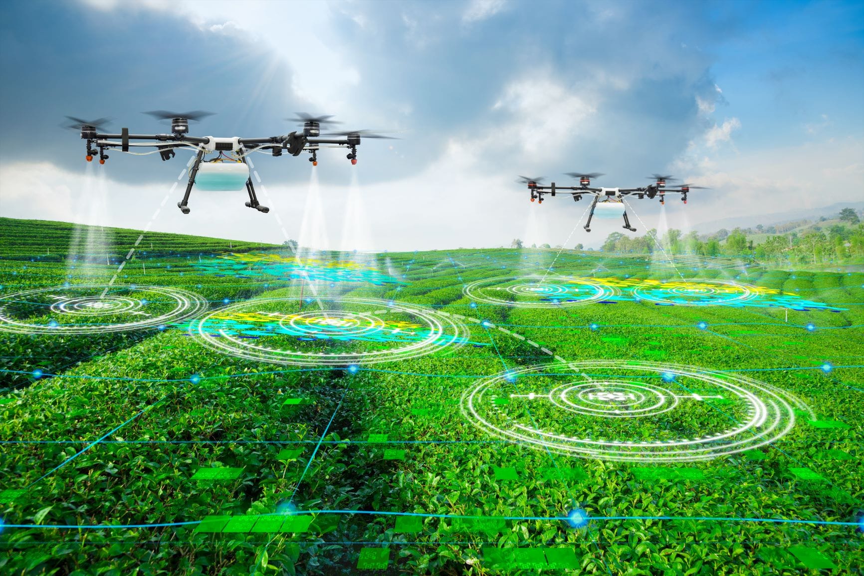 Crop Tracking