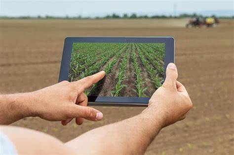 Yield Optimization